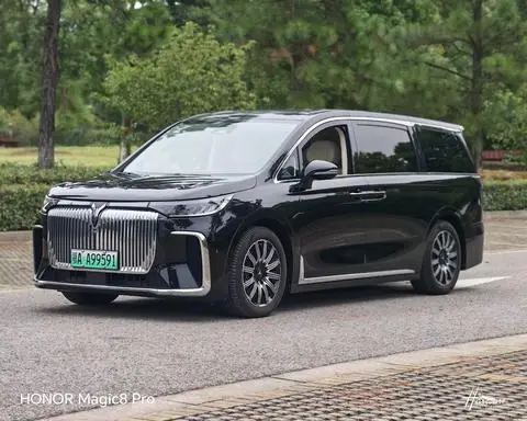 Voyah 梦想家 EV 2025