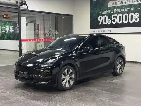 Tesla Model Y 2021 — фото 1