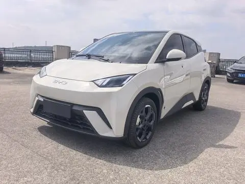 BYD Seagull 2025