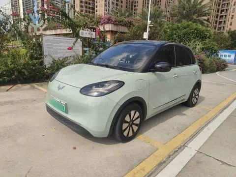 Wuling Bingo 2024