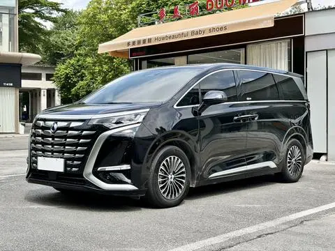 Denza D9 DM 2024