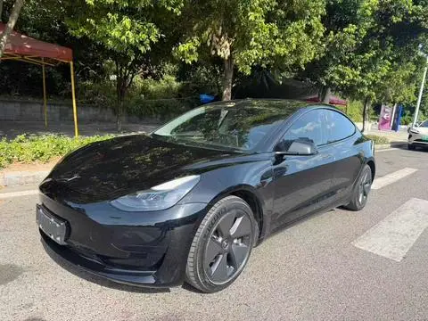 Tesla Model 3 2020