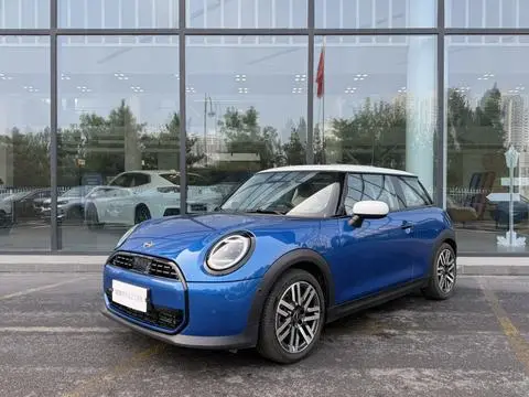 MINI MINI 2025