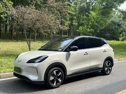 Wuling BingoPLUS 2024