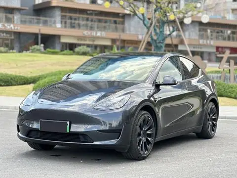 Tesla Model Y 2024 — фото 1