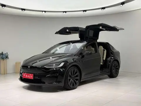 Tesla Model X 2023