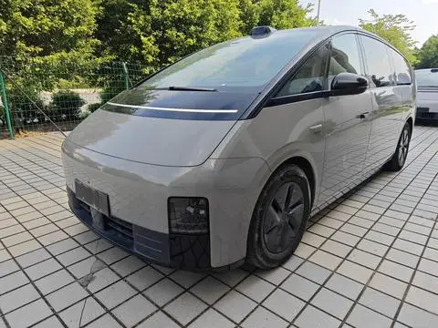 Li MEGA 2024