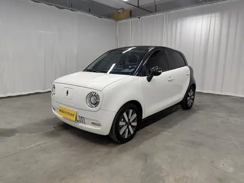 ORA 黑猫 2021