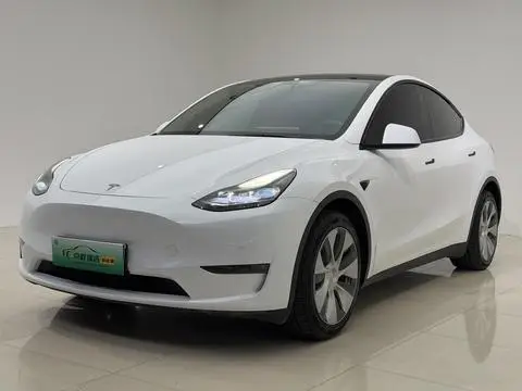 Tesla Model Y 2021 — фото 1