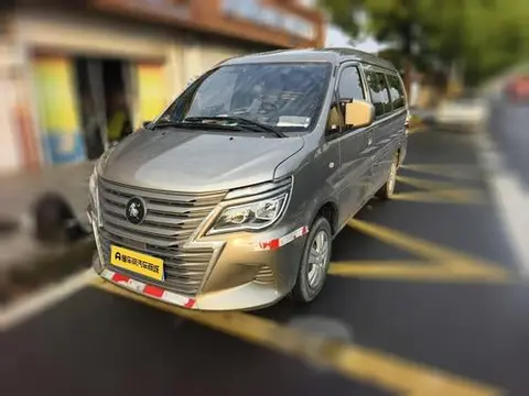 Forthing Lingzhi 2023