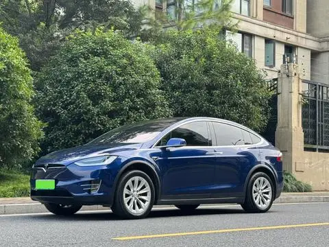 Tesla Model X 2020