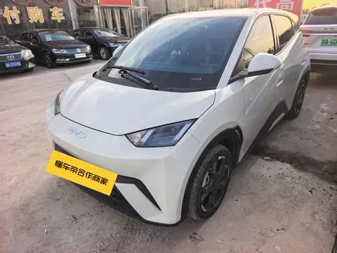 BYD Seagull 2024