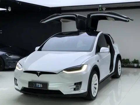 Tesla Model X 2019