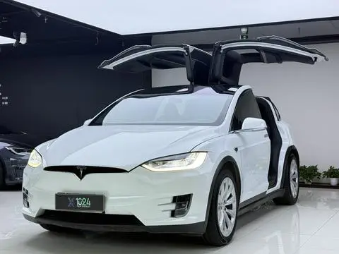 Tesla Model X 2020