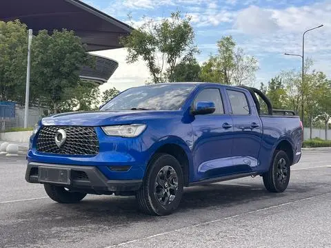 Great Wall Poer 2021