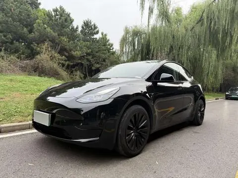Tesla Model Y 2024 — фото 1