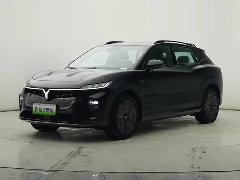 Voyah 知音 2024