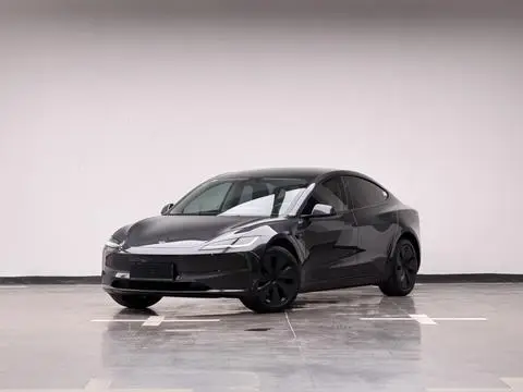 Tesla Model 3 2025