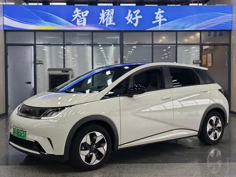 BYD Dolphin 2024