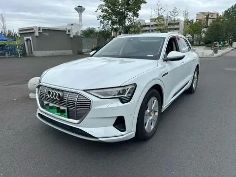 Audi e-tron 2019