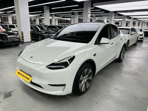 Tesla Model Y 2021 — фото 1