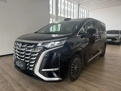 Denza D9 DM 2025