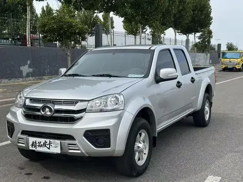 Great Wall 风骏5 2023