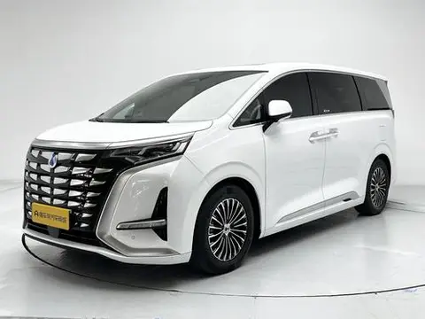 Denza D9 DM 2024