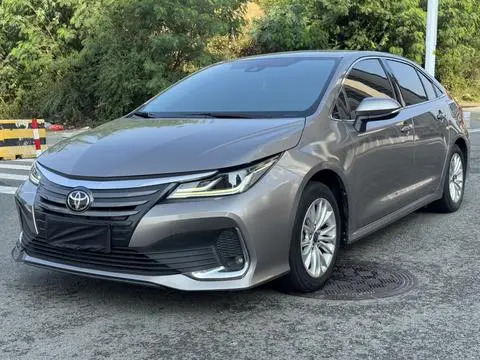 Toyota 亚洲狮 2022