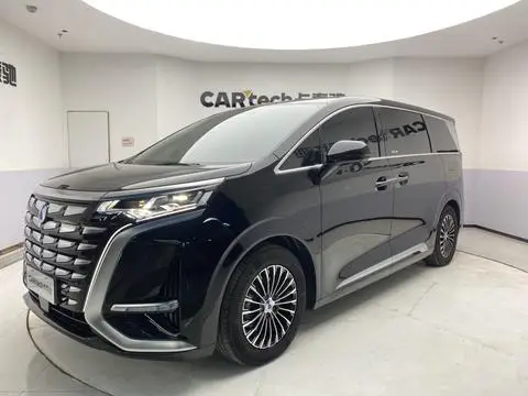 Denza D9 DM 2024