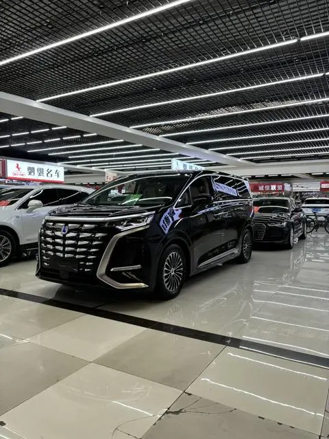 Denza D9 DM 2022