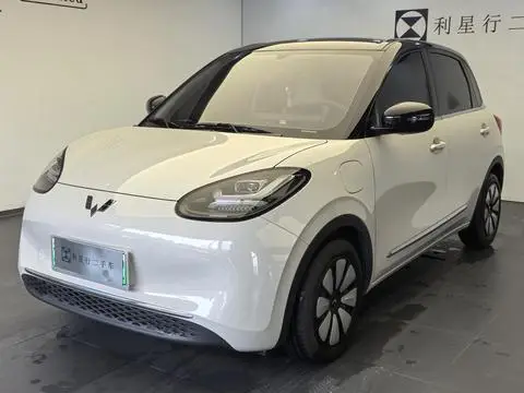 Wuling Bingo 2024