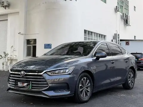 BYD 秦Pro DM 2019