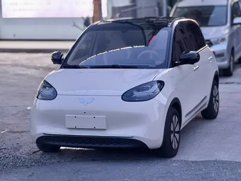 Wuling Bingo 2025