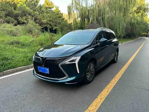 Forthing 风行游艇 2022