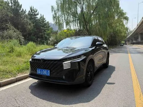 Venucia 大V 2022