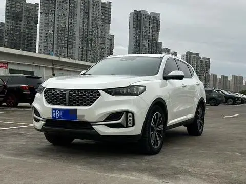 Wey VV6 2021