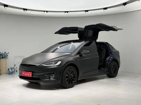 Tesla Model X 2019
