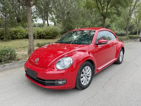 Volkswagen 甲壳虫 2014