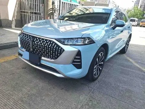 Wey Mocha 2021