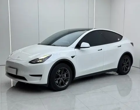Tesla Model Y 2023 — фото 1