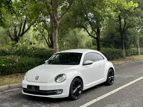 Volkswagen 甲壳虫 2015