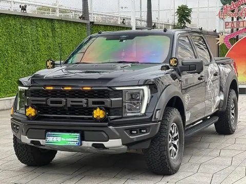 Ford F-150 Raptor 2024 — фото 1