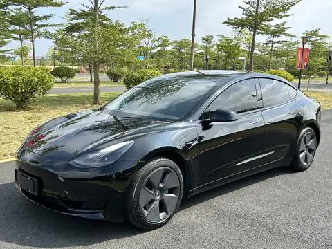 Tesla Model 3 2021 — фото 1