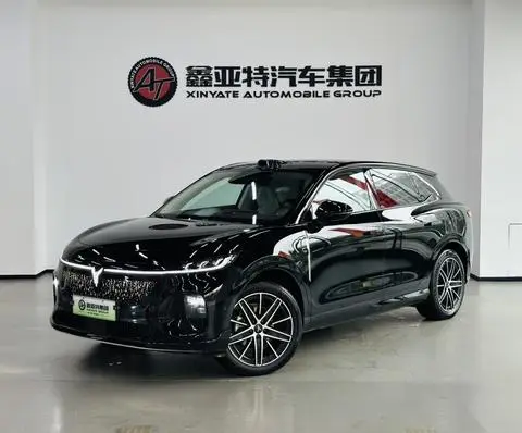 Voyah 知音 2025
