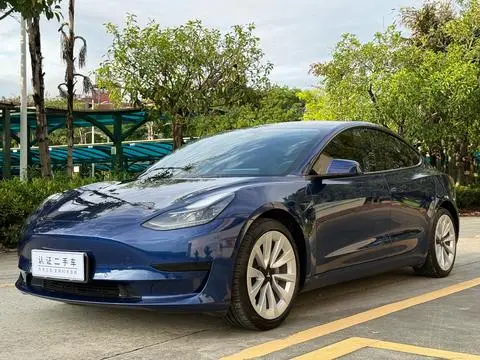 Tesla Model 3 2021 — фото 1