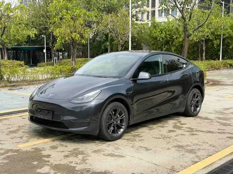 Tesla Model Y 2024 — фото 1