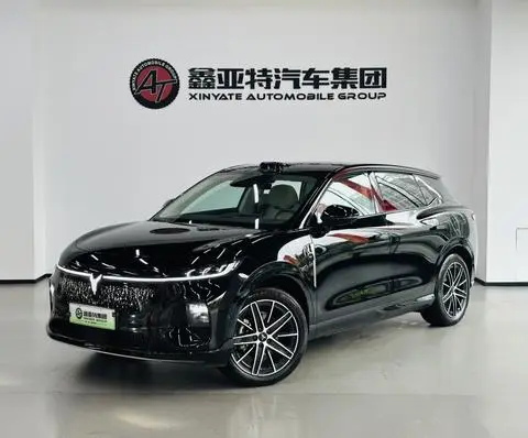 Voyah 知音 2025