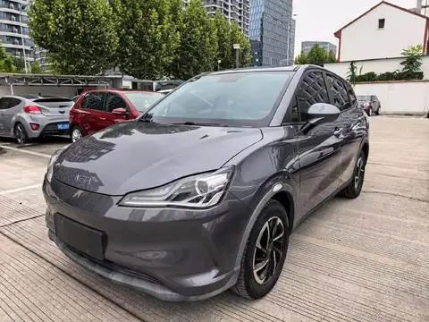 NETA V 2021