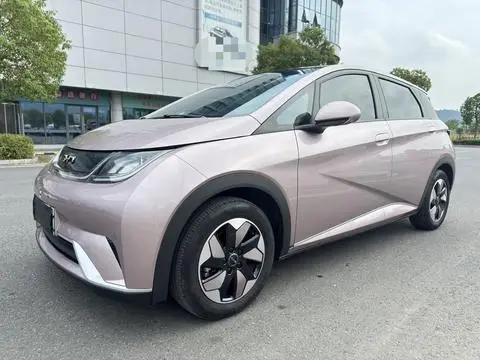 BYD Dolphin 2024
